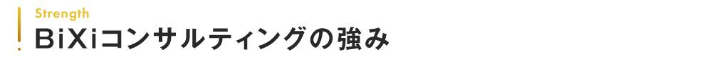 strength BiXiコンサルティングの強み